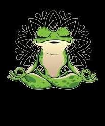 Image of a frog meditating